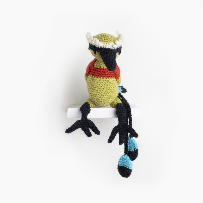 Marianne the Fruit Dove